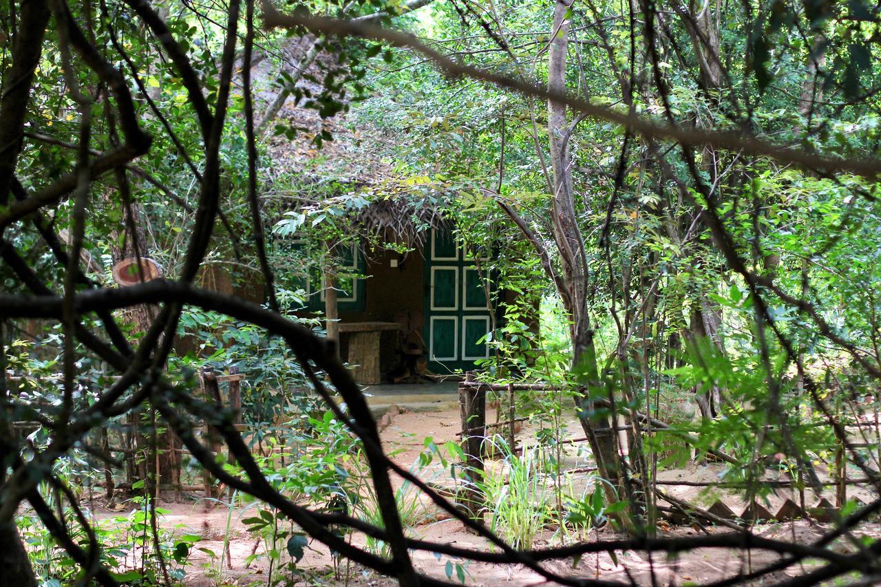 Hotel Mahagedara Wellness Retreat Avudangawa Exterior foto